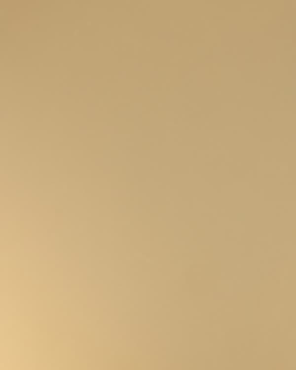 Metal Plus Light Gold SM finish - kitchen scene with cabinet door