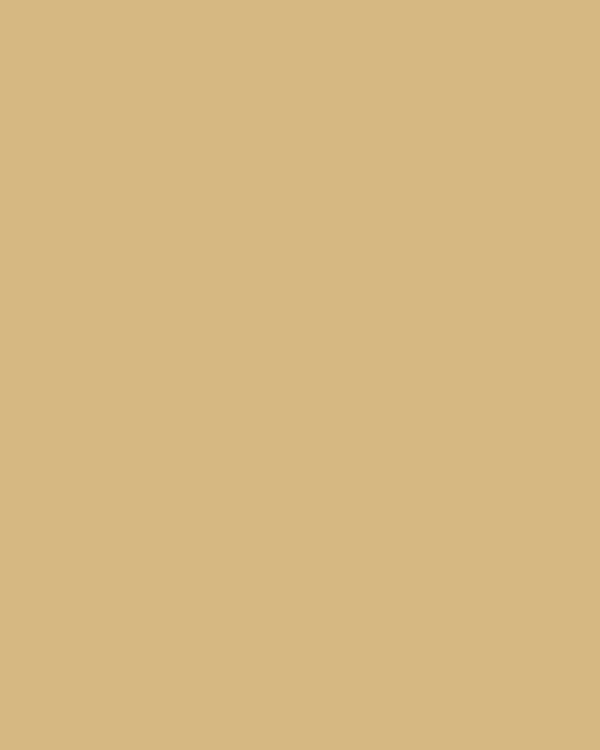 Camel SM cabinet door finish
